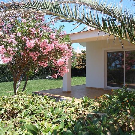 Villa Cala Vigliena Il Sole Negli Occhi Punta Braccetto Zimmer foto