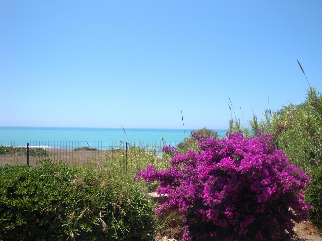 Villa Cala Vigliena Il Sole Negli Occhi Punta Braccetto Zimmer foto